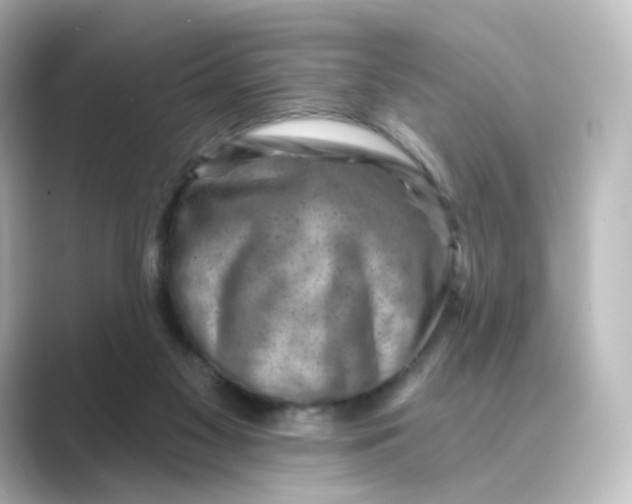 X0000088730117200706212046