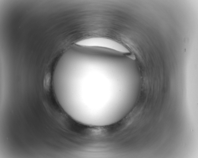 X0000088730118200706212046