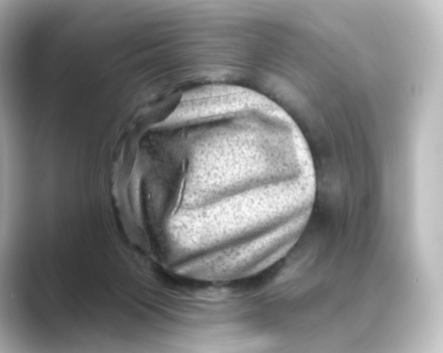 X0000088730119200706212046