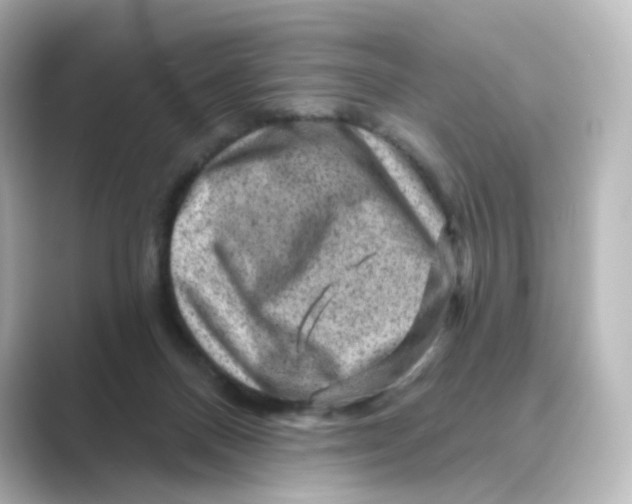 X0000088730120200706212046