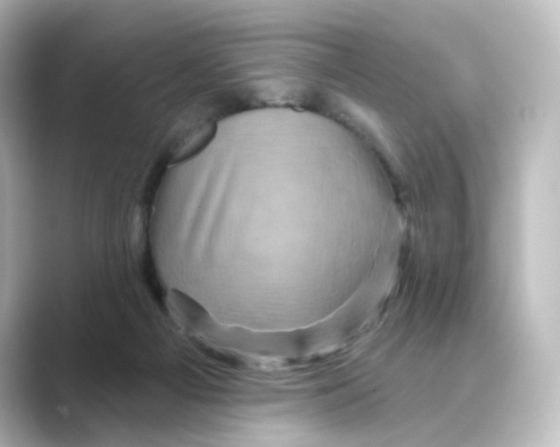 X0000088730121200706212046