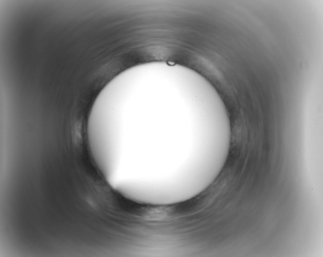 X0000088730122200706212046