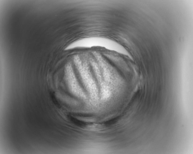 X0000088730125200706212046