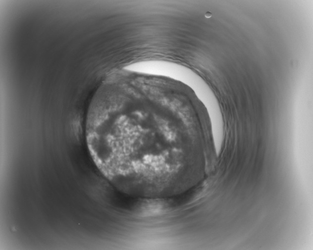 X0000088730127200706212046