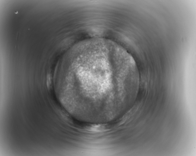 X0000088730130200706212046