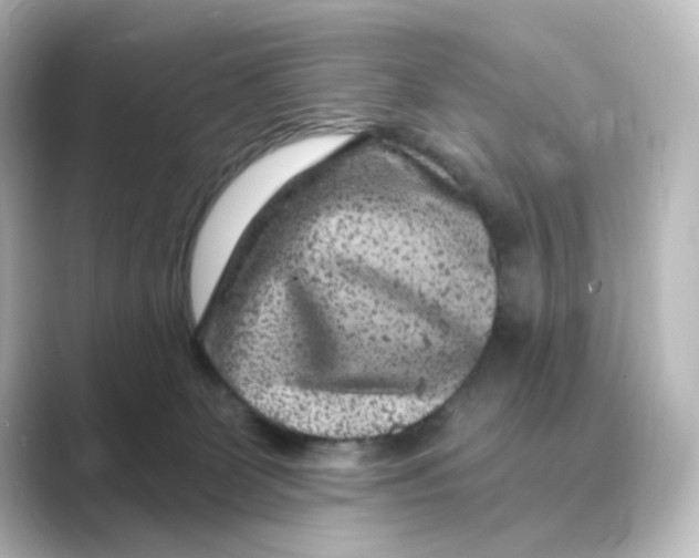 X0000088730131200706212046