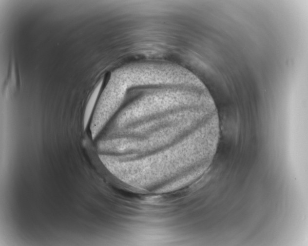 X0000088730132200706212046