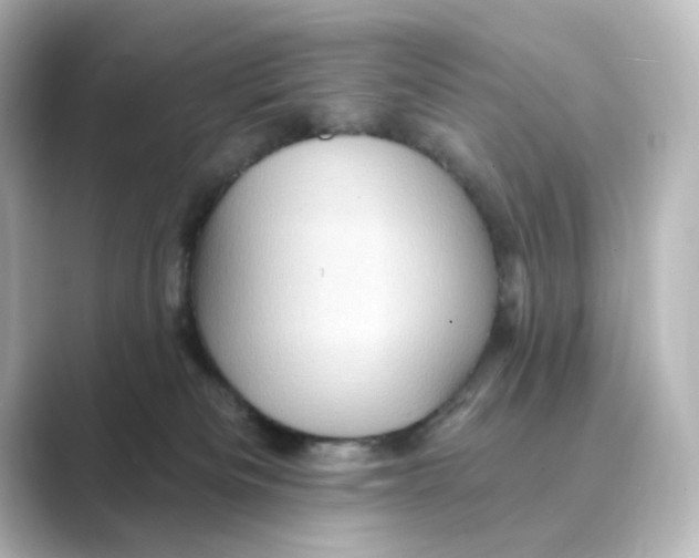 X0000088730133200706212046