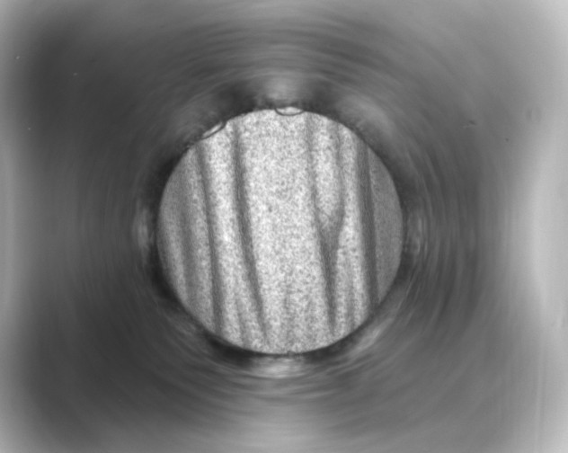 X0000088730135200706212046