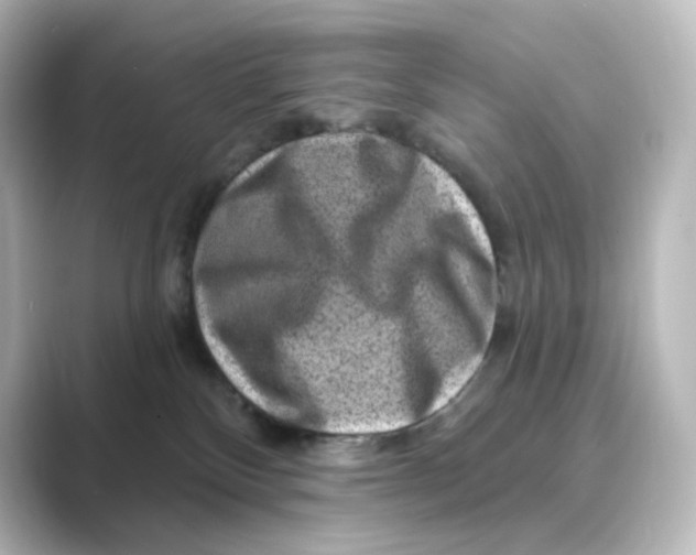 X0000088730136200706212046