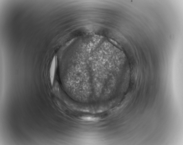 X0000088730137200706212045