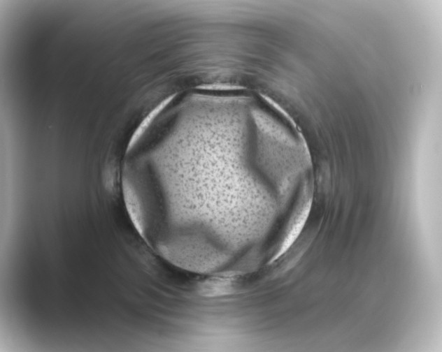 X0000088730138200706212045