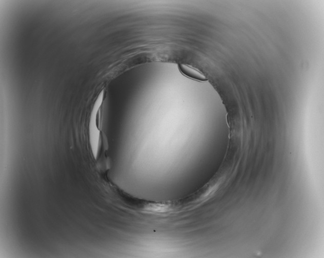 X0000088730139200706212045