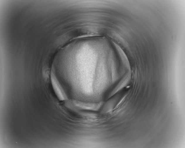 X0000088730141200706212045