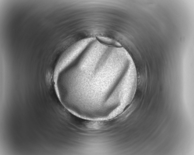 X0000088730142200706212045