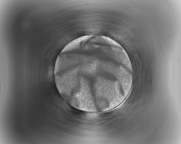 X0000088730144200706212045