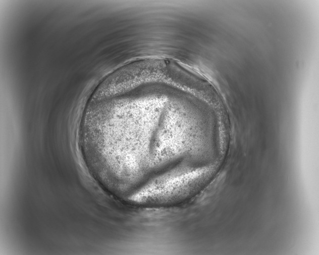 X0000088730145200706212045