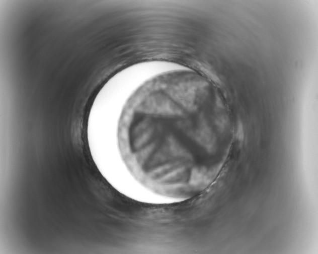 X0000088730146200706212045