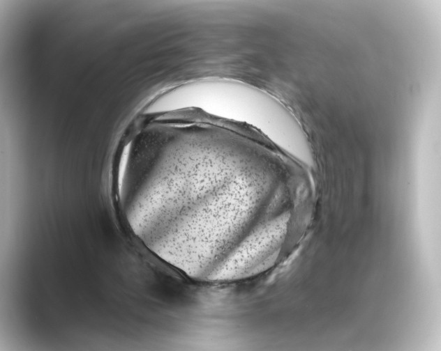 X0000088730148200706212045