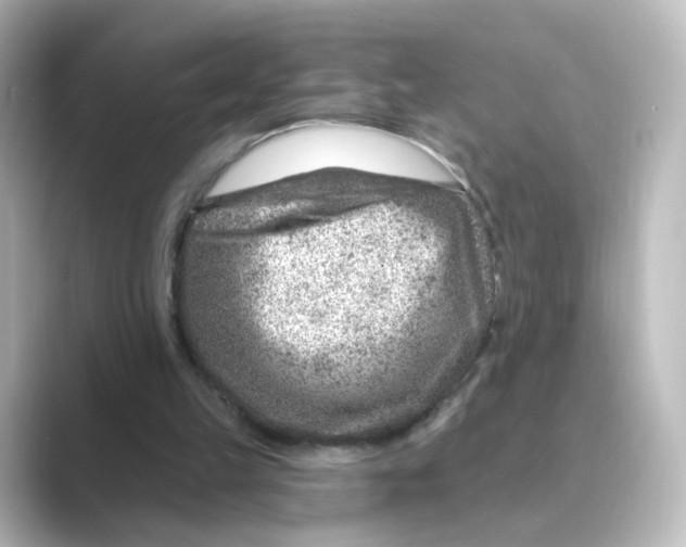 X0000088730149200706212045