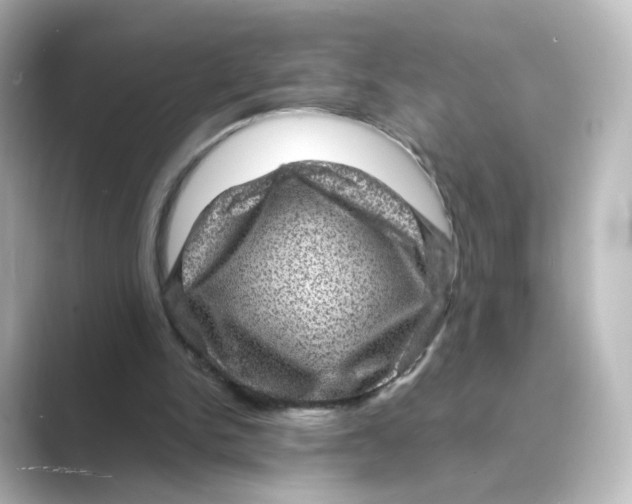 X0000088730150200706212045