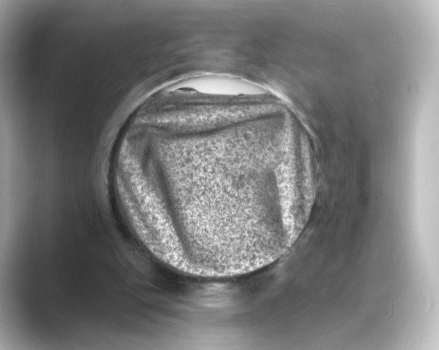 X0000088730151200706212045