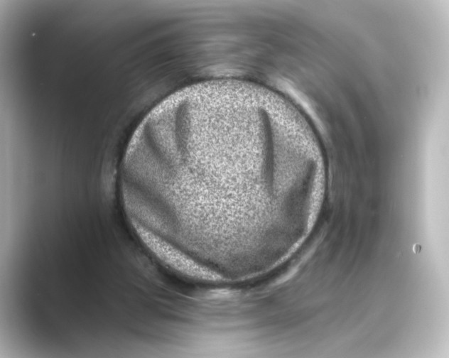 X0000088730153200706212045