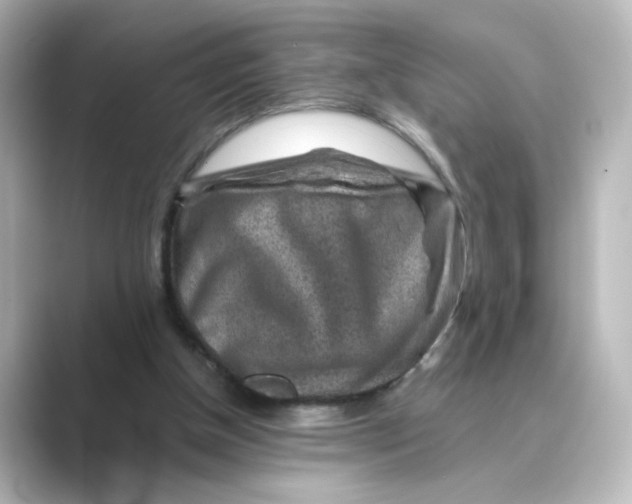 X0000088730154200706212045