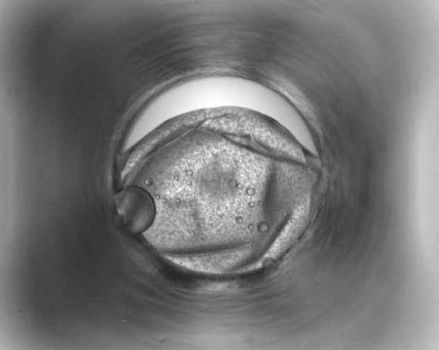 X0000088730155200706212045