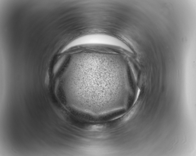 X0000088730158200706212045