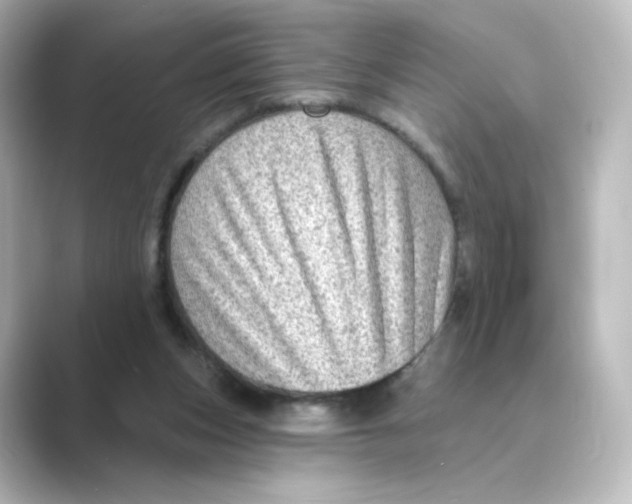 X0000088730159200706212045