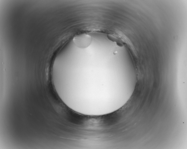 X0000088730163200706212045