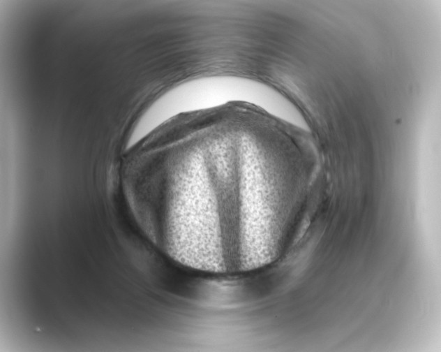 X0000088730164200706212045