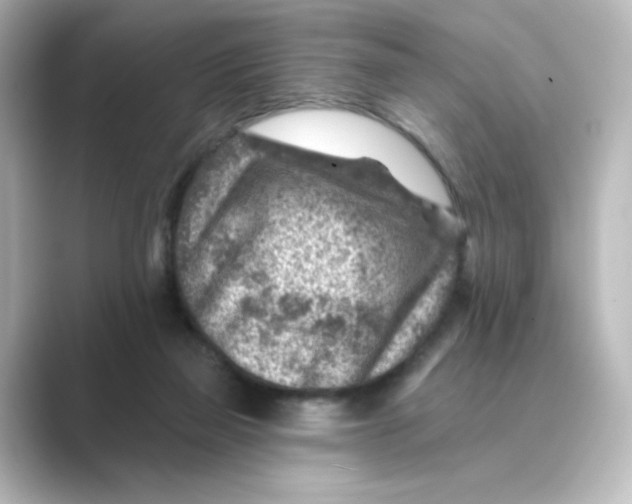 X0000088730165200706212045