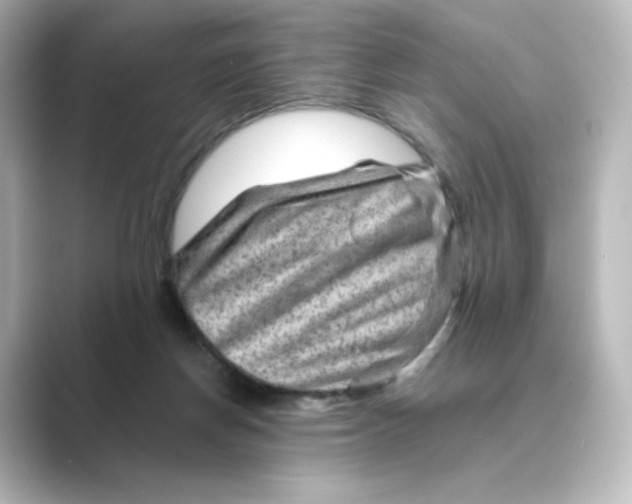 X0000088730166200706212045