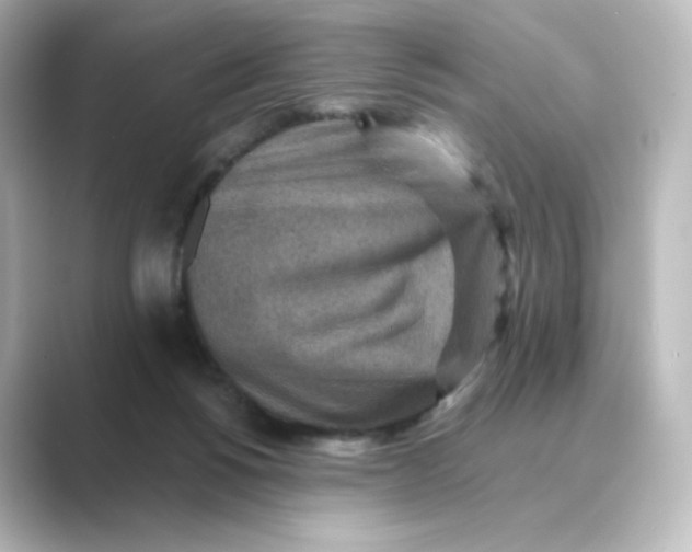 X0000088730168200706212045