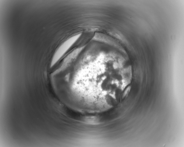 X0000088730169200706212045