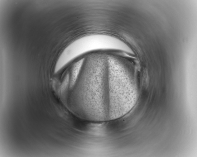 X0000088730170200706212045