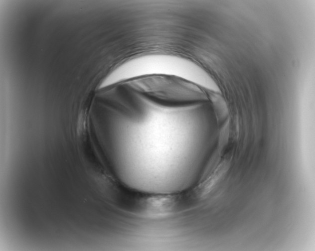 X0000088730172200706212045