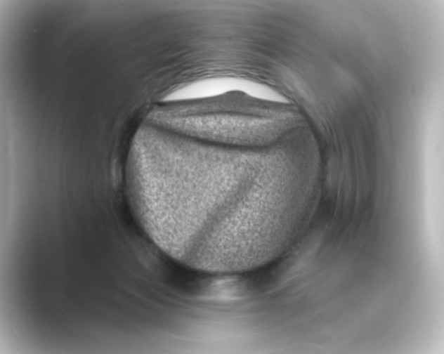 X0000088730173200706212045