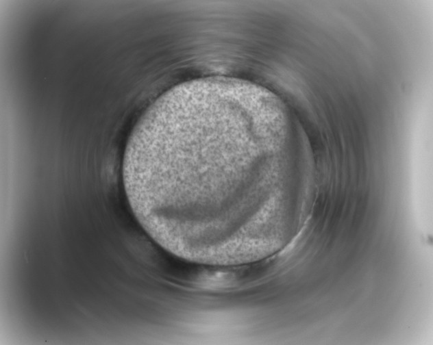 X0000088730174200706212045