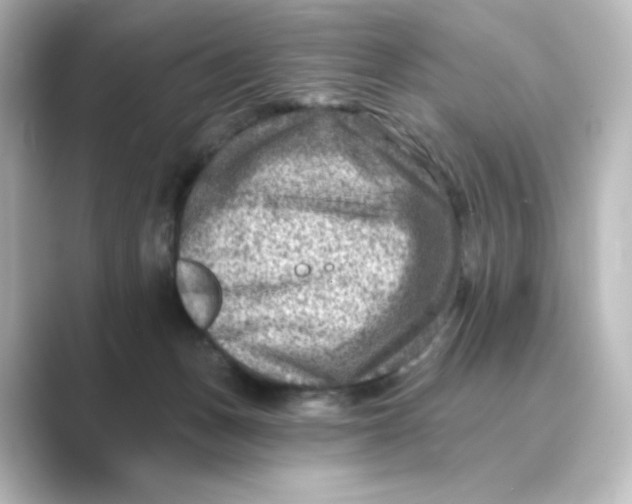 X0000088730175200706212045