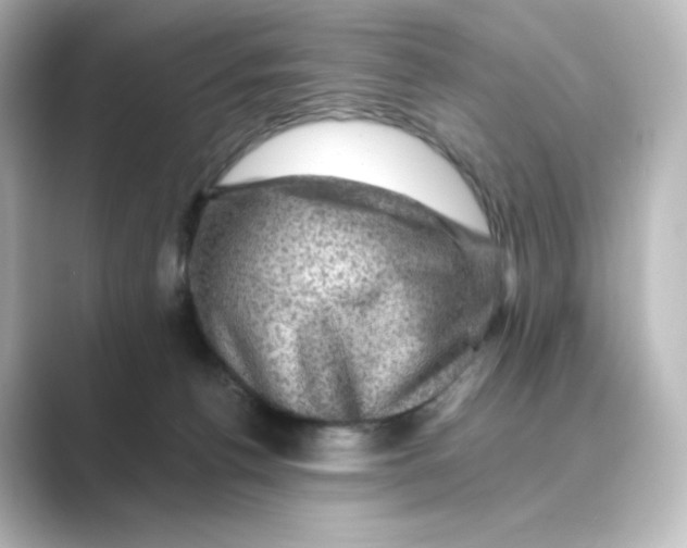 X0000088730176200706212045