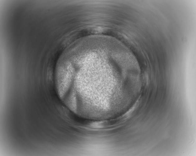 X0000088730178200706212045