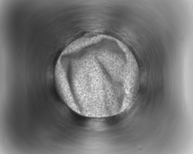 X0000088730179200706212045