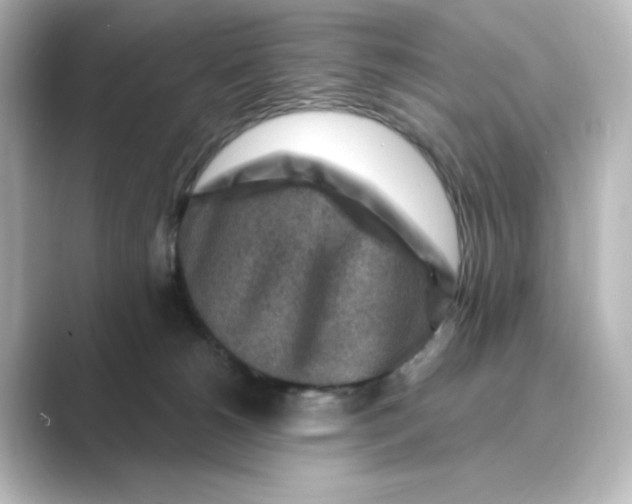 X0000088730180200706212045