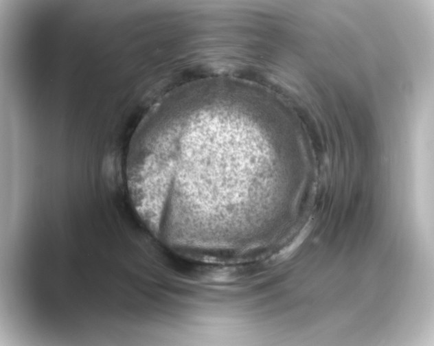 X0000088730182200706212045