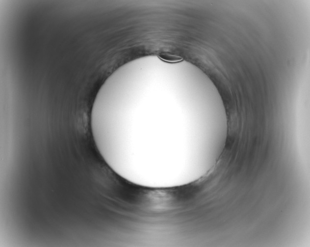 X0000088730183200706212045