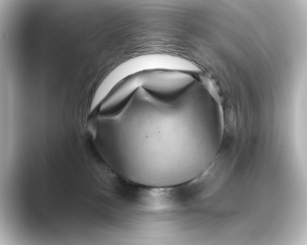 X0000088730184200706212045