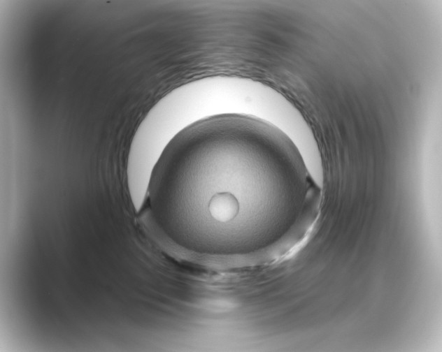 X0000088730186200706212045